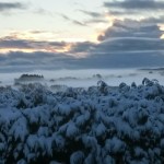 Saukalt, Eis, viel Schnee: Statt global Warming gibt es global Cooling in kleiner Eiszeit